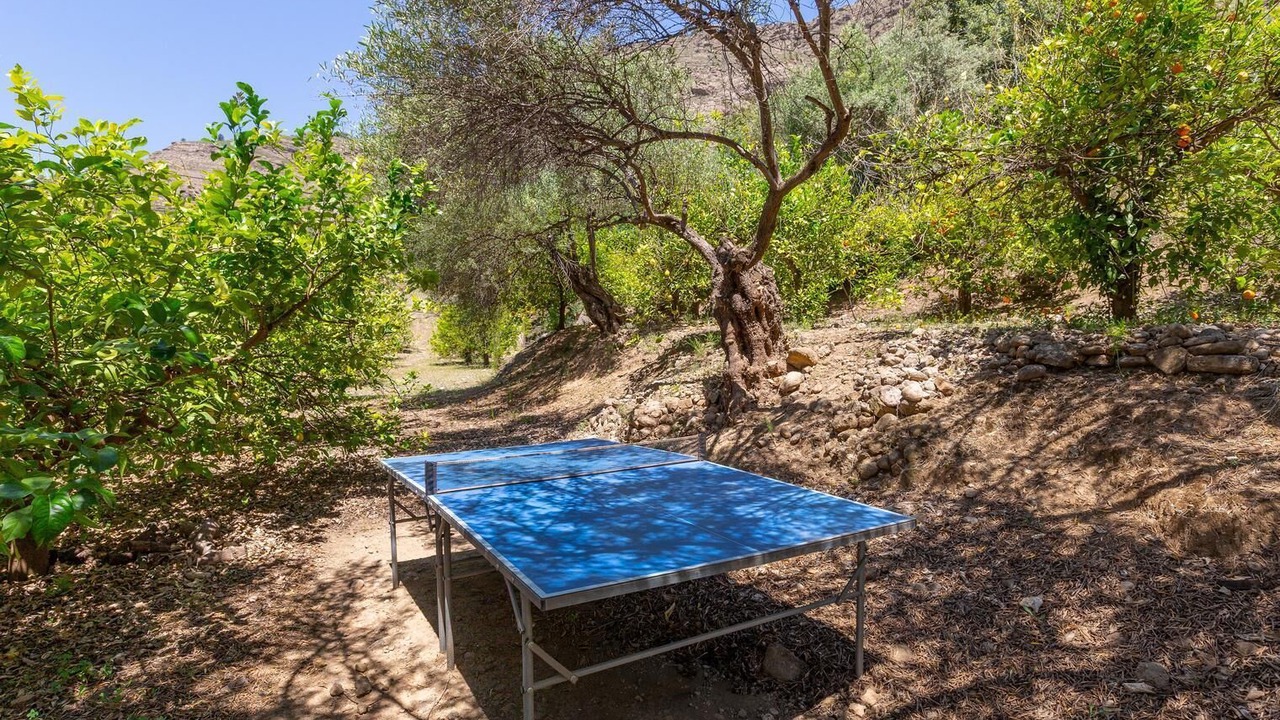 Photo of Outdoor in Alora