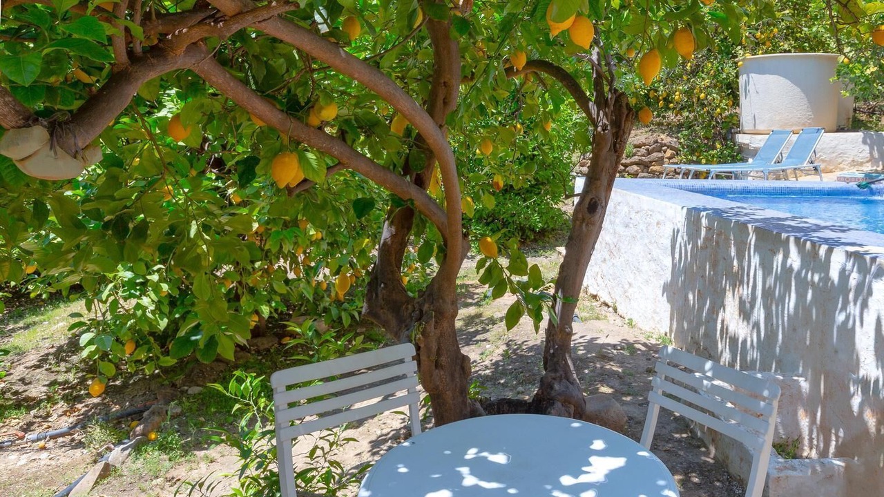 Photo of Outdoor in Alora