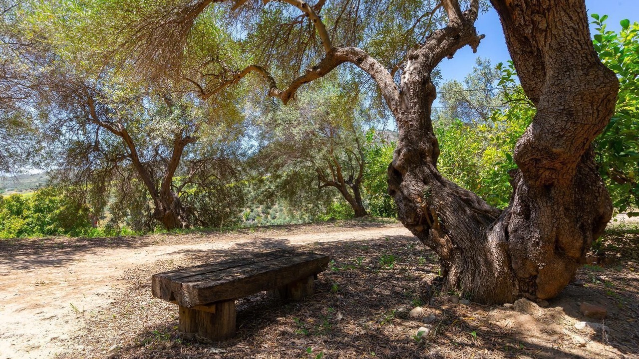 Photo of Outdoor in Alora