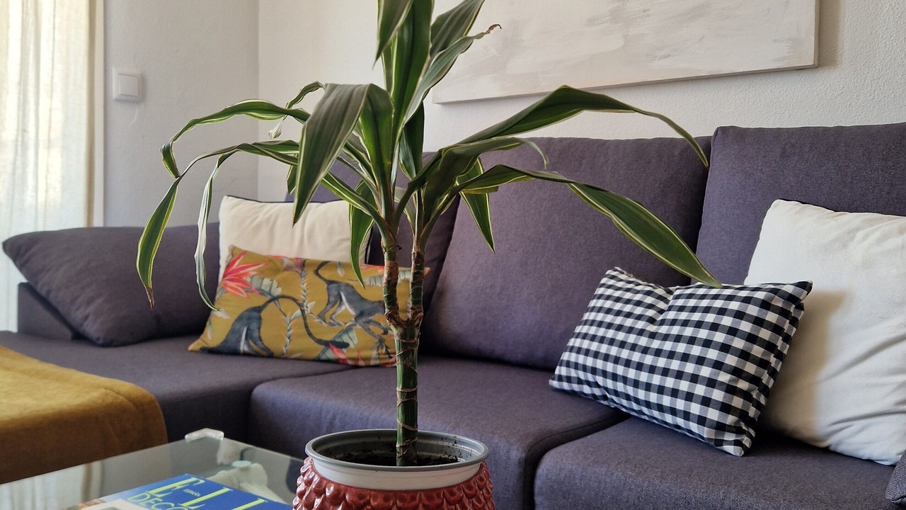 Photo of Livingroom in Sanlucar de Barrameda