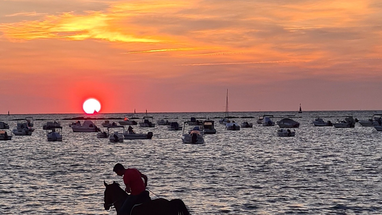Photo of Others in Sanlucar de Barrameda