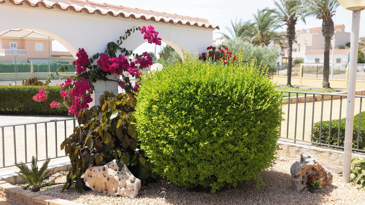 Photo of Outdoor in Palomares