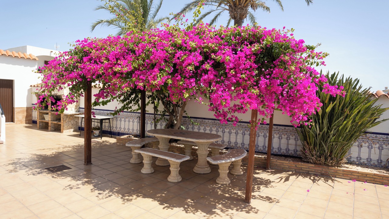 Photo of Outdoor in Palomares