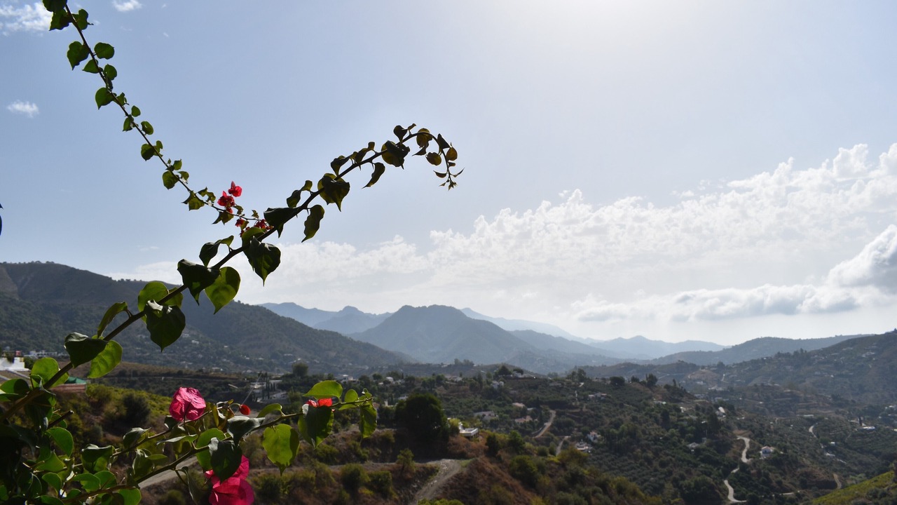 Photo of Others in Competa