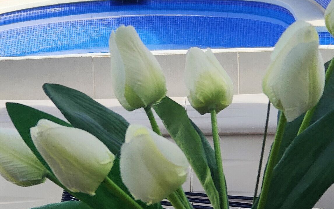 Photo of Outdoor in Nerja