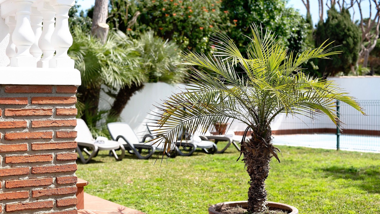 Photo of Outdoor in Los Gallos-Cerromolino