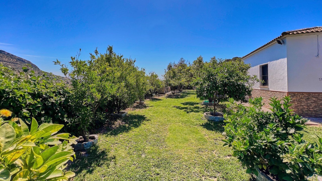 Photo of Outdoor in Algodonales