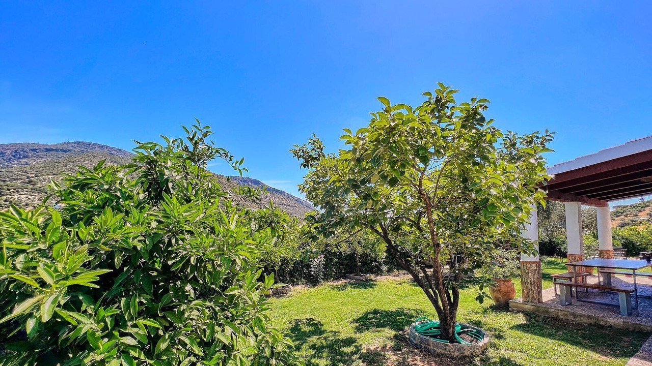 Photo of Outdoor in Algodonales