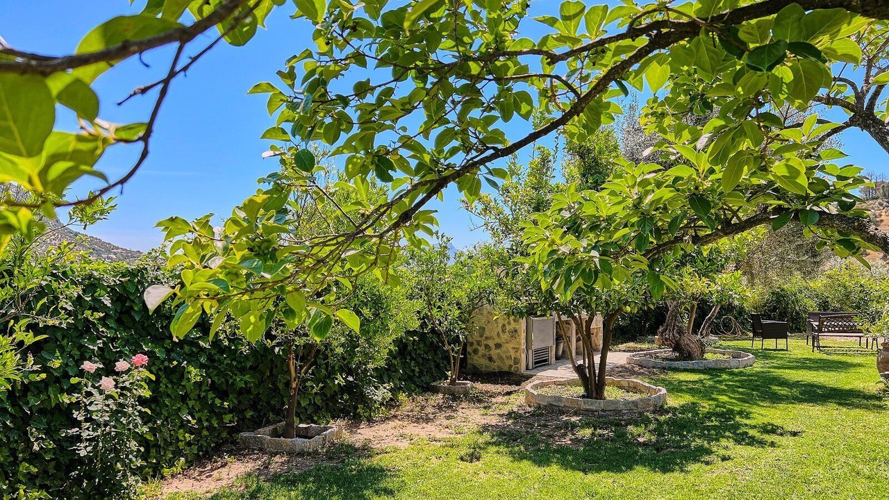 Photo of Outdoor in Algodonales
