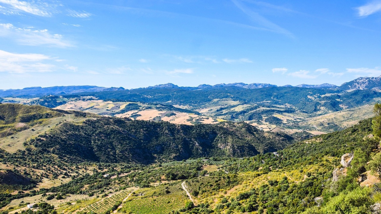 Photo of Others in Montecorto