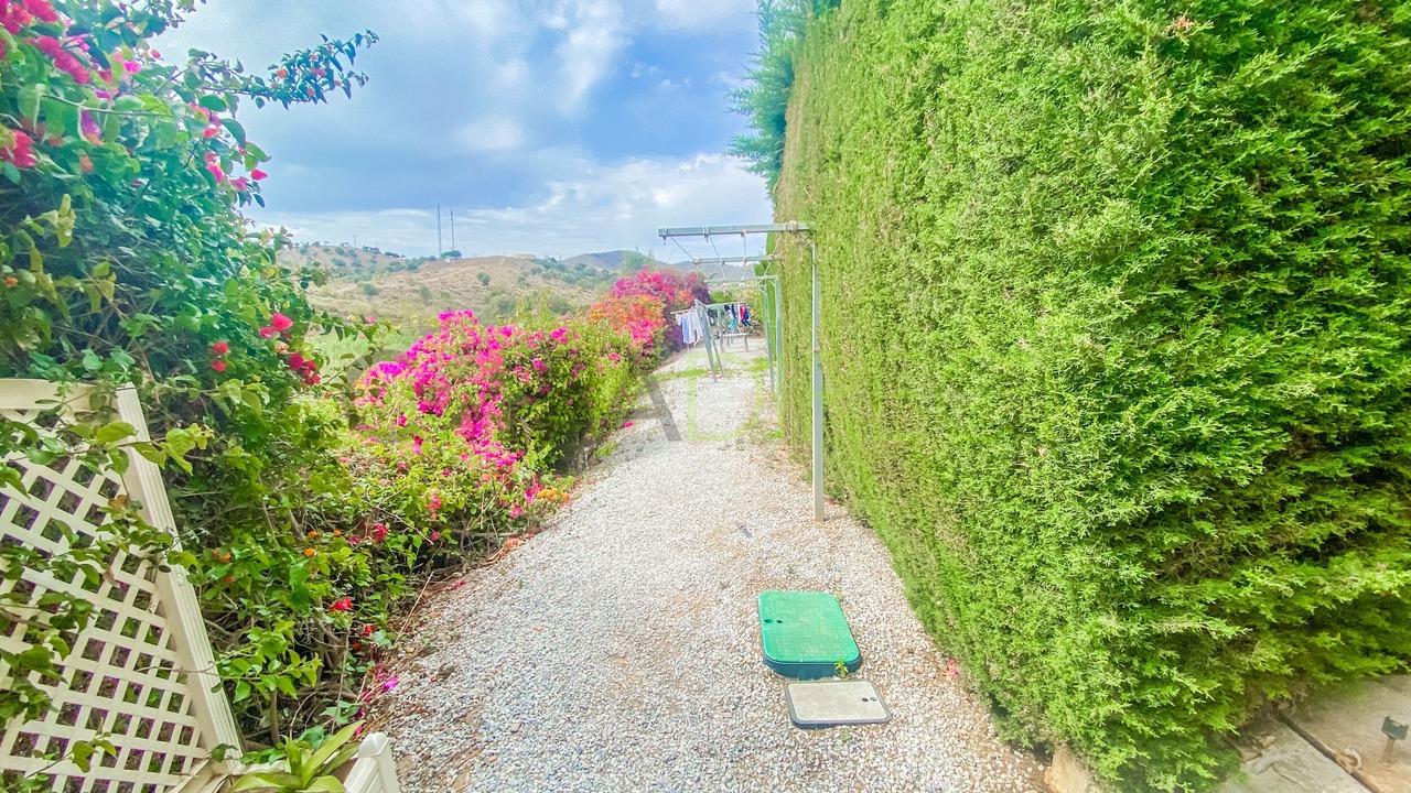 Photo of Outdoor in Benajarafe