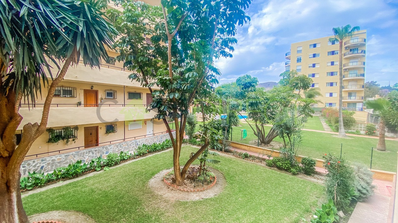 Photo of Outdoor in Benajarafe