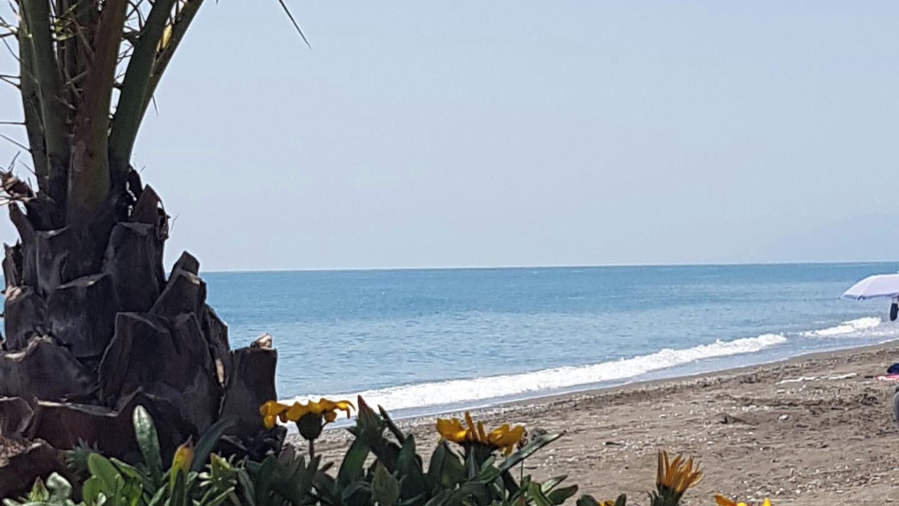 Photo of Others in Benajarafe
