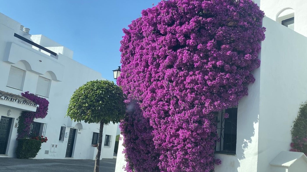Photo of Outdoor in Guadalmina