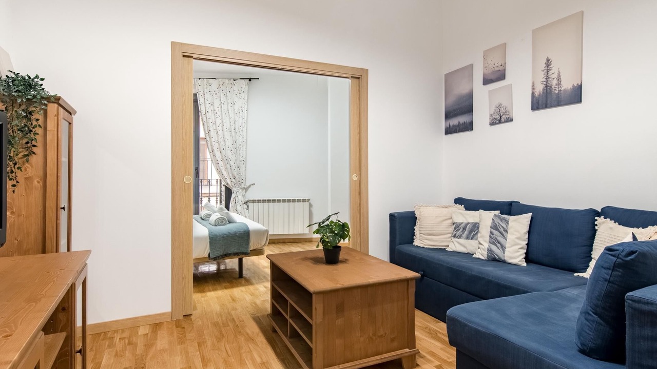 Photo of Livingroom in Centro