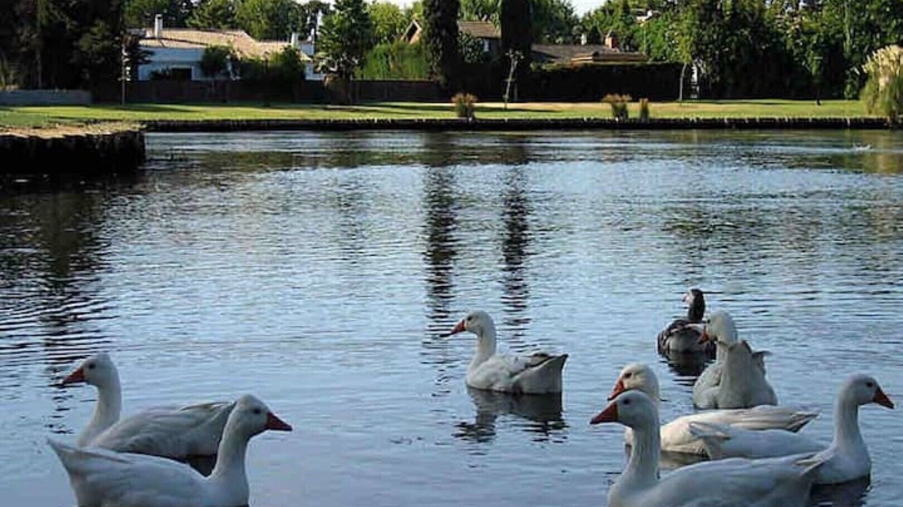 Photo of Outdoor in Los Barrios