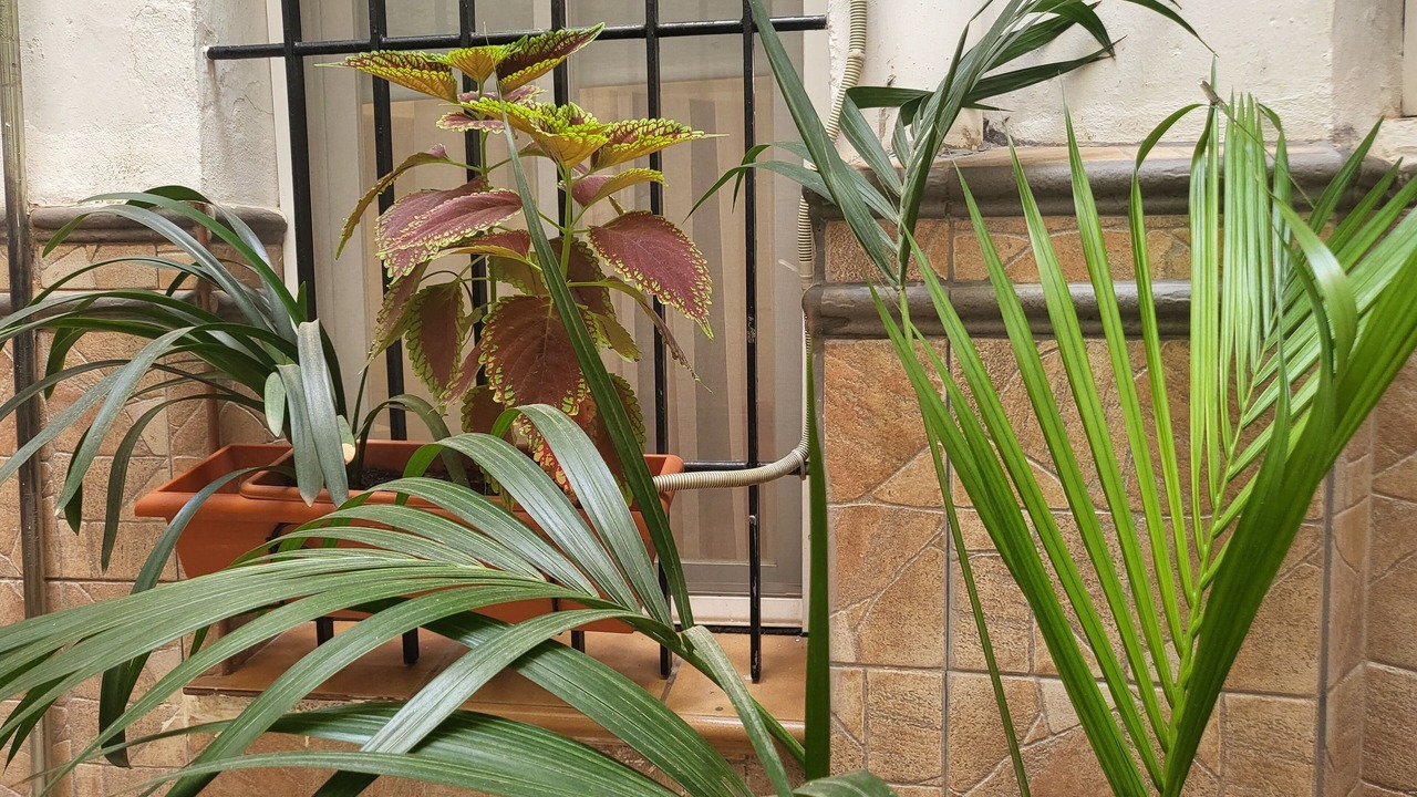 Photo of Outdoor in Vistaalegre
