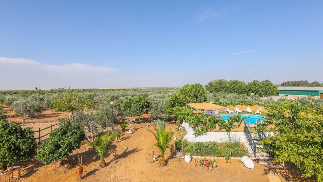 Photo of Outdoor in Marchena