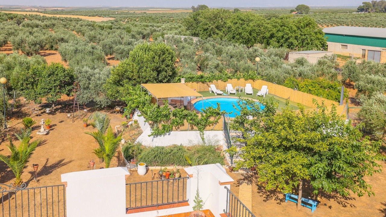 Photo of Outdoor in Marchena