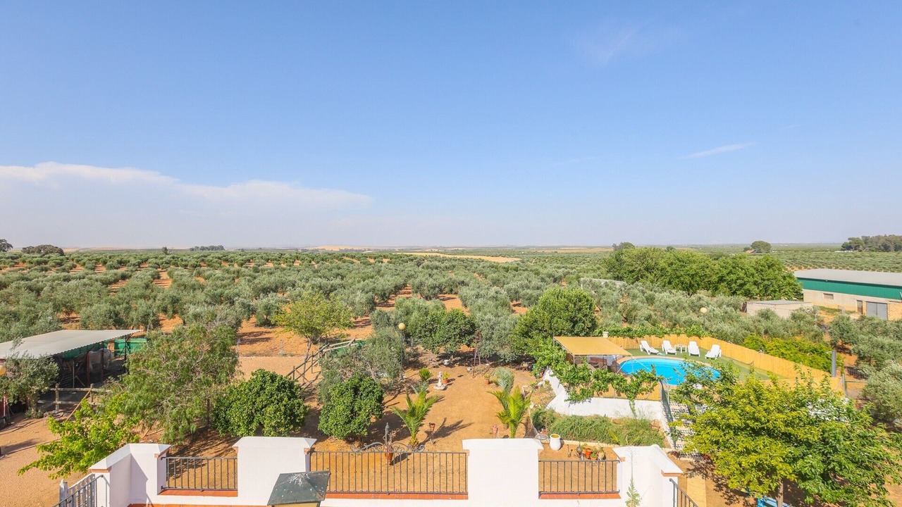 Photo of Outdoor in Marchena