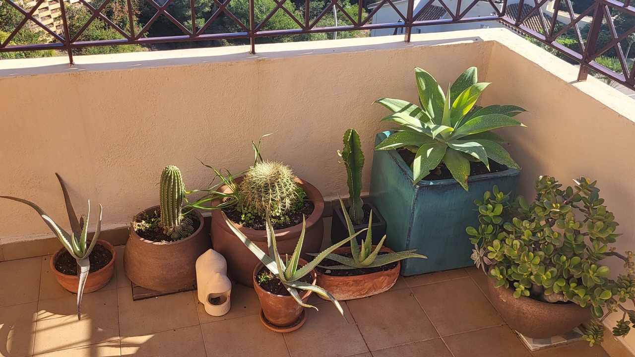 Photo of Outdoor in El Beal