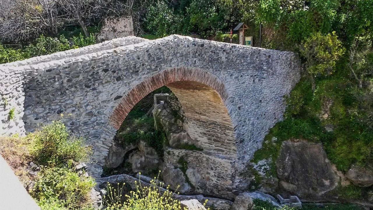 Photo of Others in Sedella