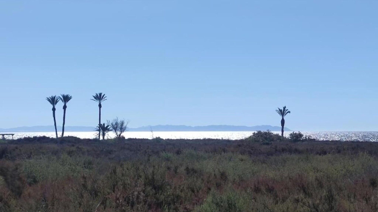 Photo of Others in Roquetas de Mar