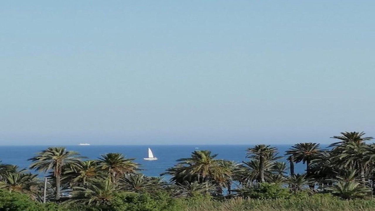 Photo of Others in Roquetas de Mar