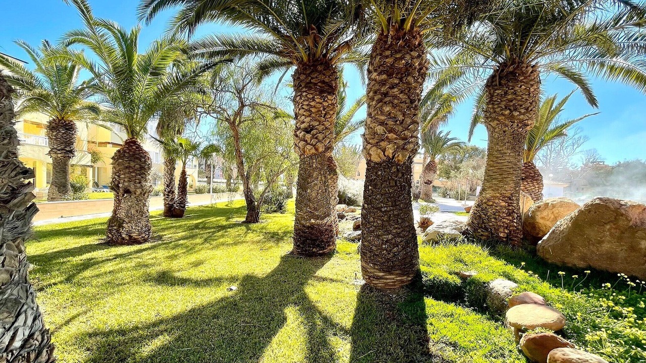 Photo of Others in Roquetas de Mar
