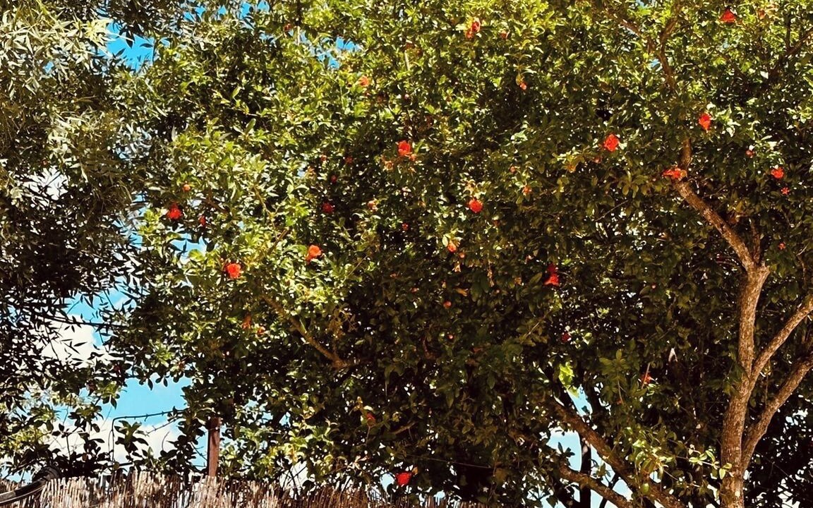Photo of Outdoor in El Gastor