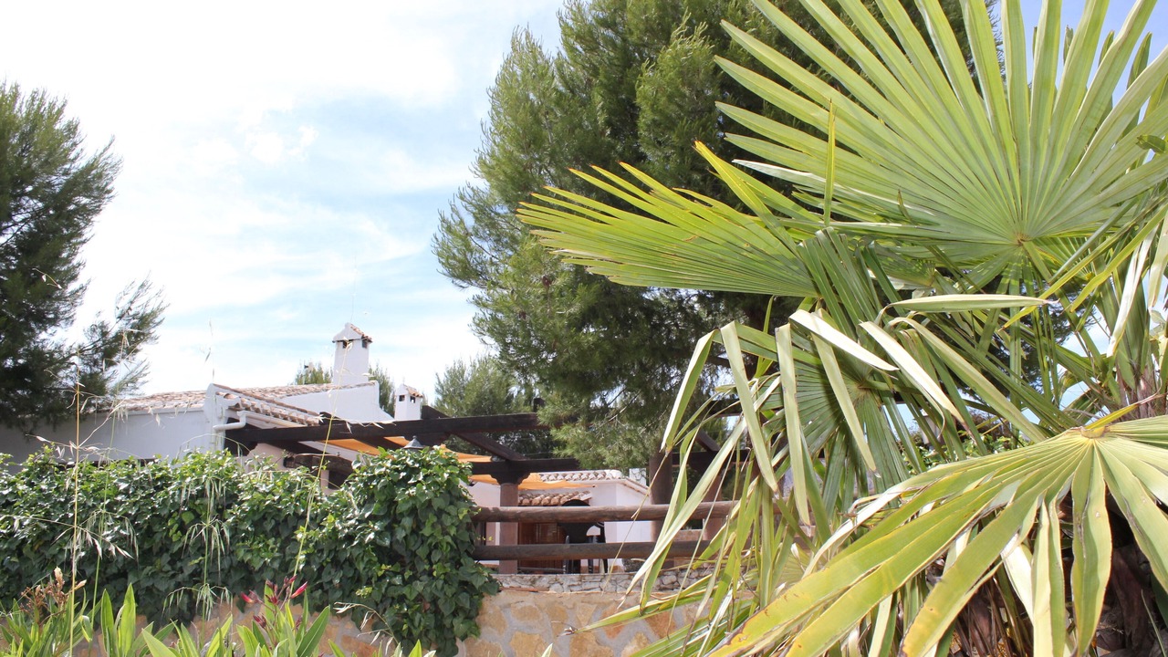 Photo of Outdoor in Chirivel