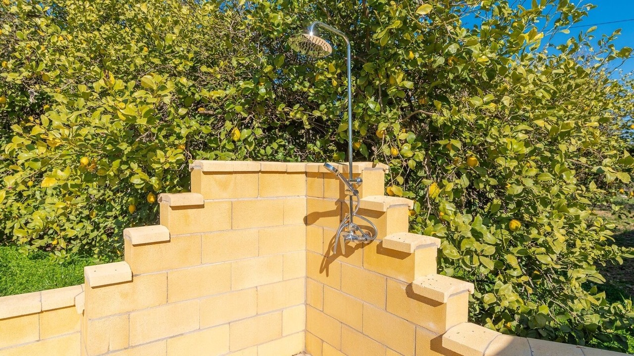 Photo of Outdoor in Alora