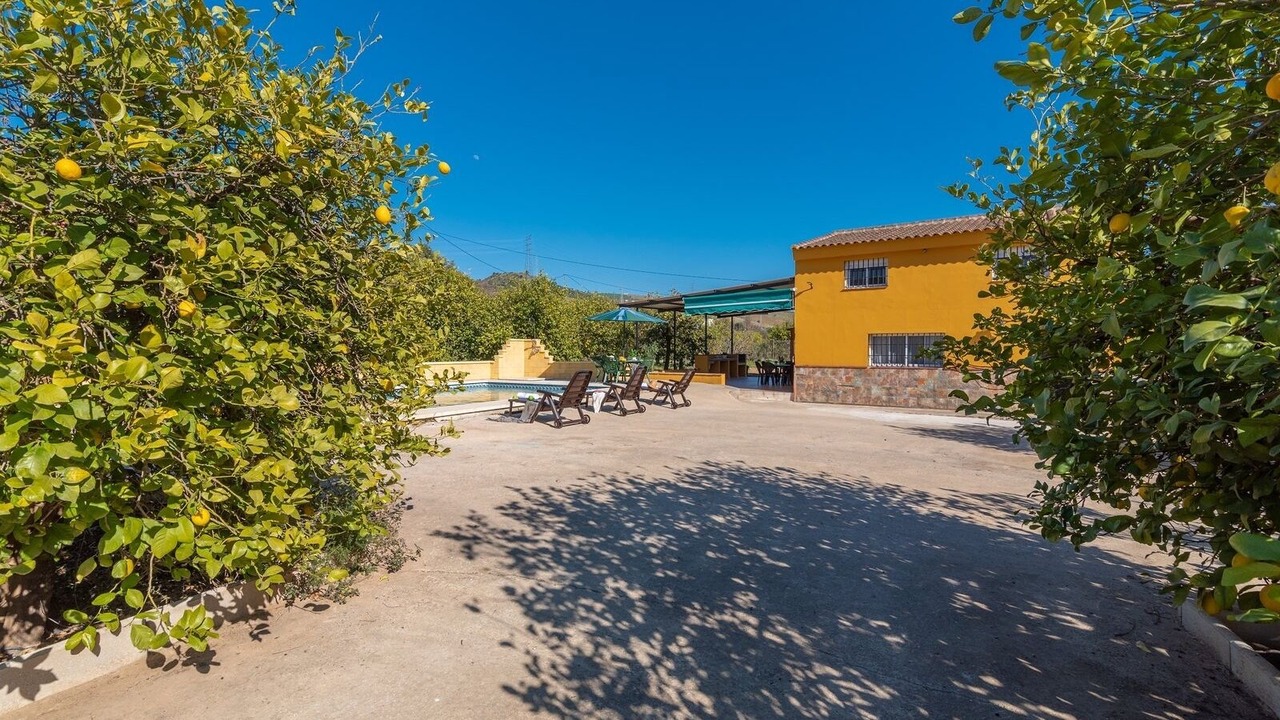 Photo of Patio Balcony in Alora