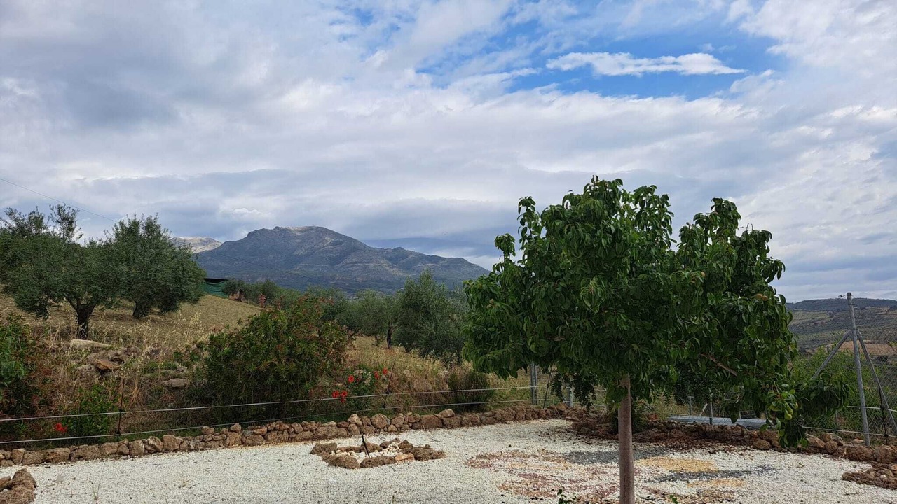 Photo of Outdoor in Alozaina