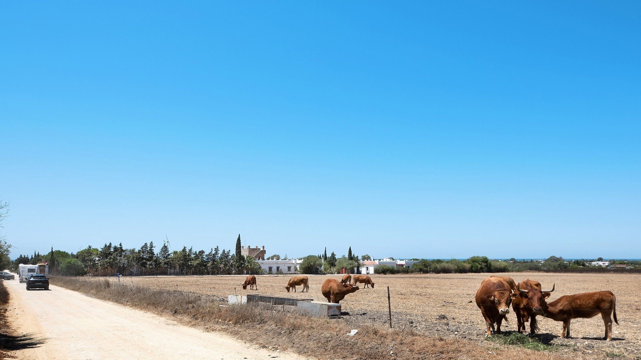 Photo of Others in El Palmar