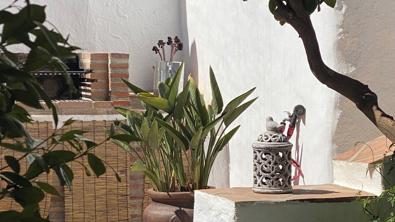 Photo of Outdoor in Sedella