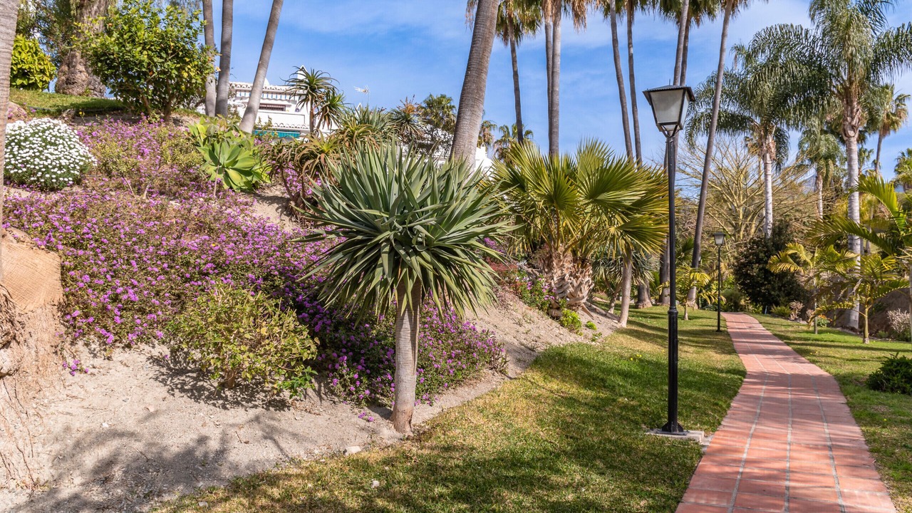 Photo of Outdoor in Oasis del Capistrano