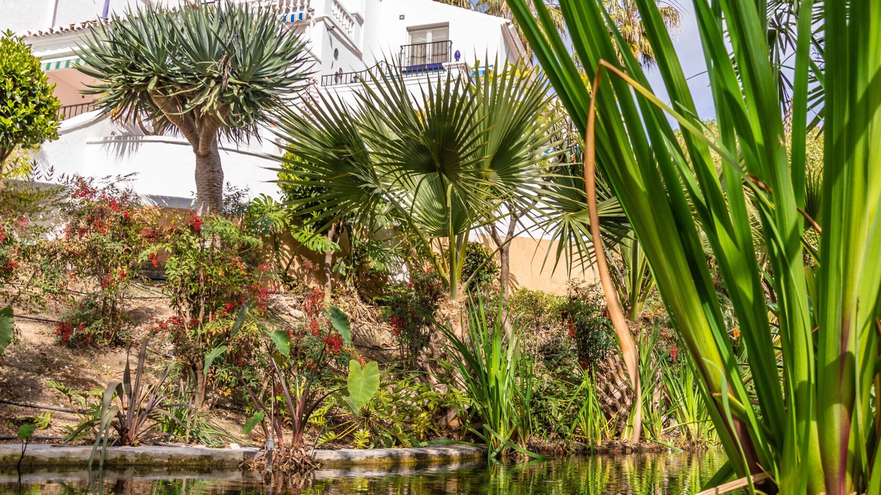 Photo of Outdoor in Oasis del Capistrano