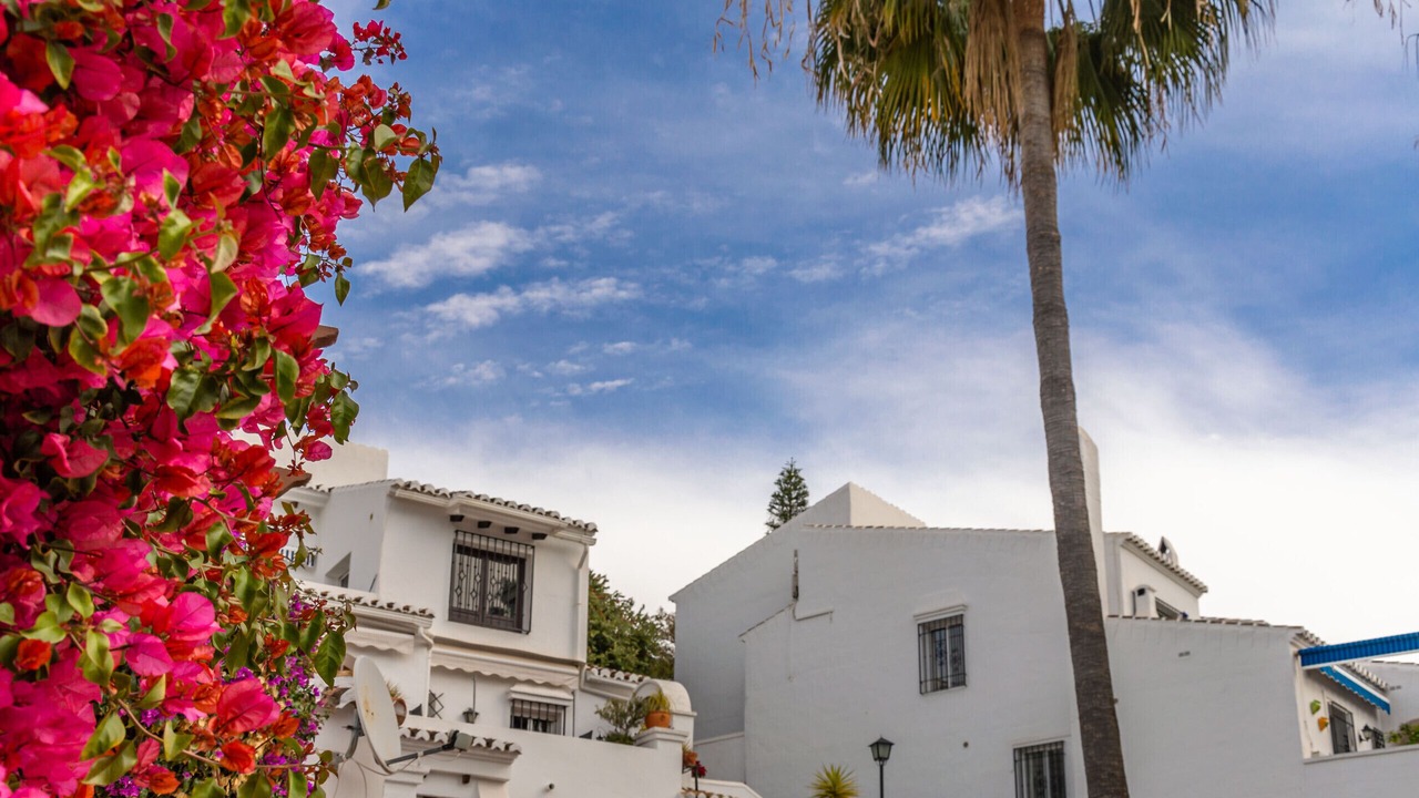 Photo of Outdoor in Oasis del Capistrano
