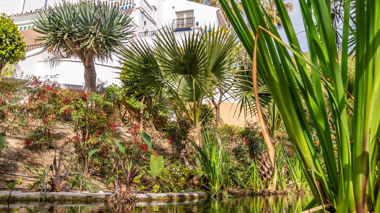 Photo of Outdoor in Oasis del Capistrano