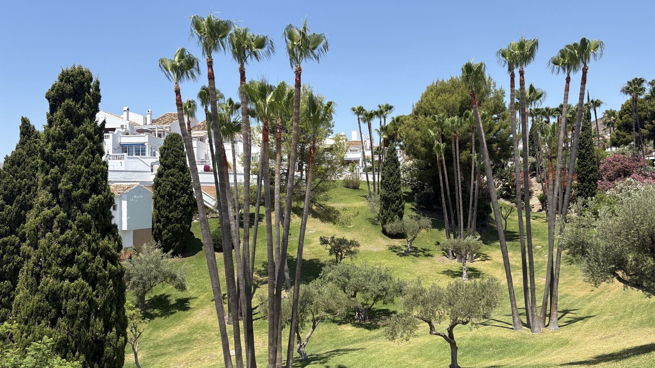 Photo of Outdoor in Oasis del Capistrano
