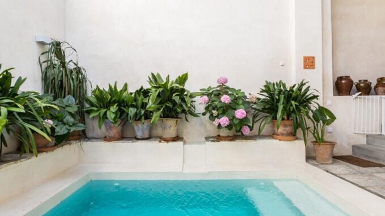 Photo of Outdoor in Sanlucar de Barrameda