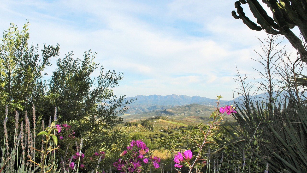 Photo of Outdoor in Alozaina