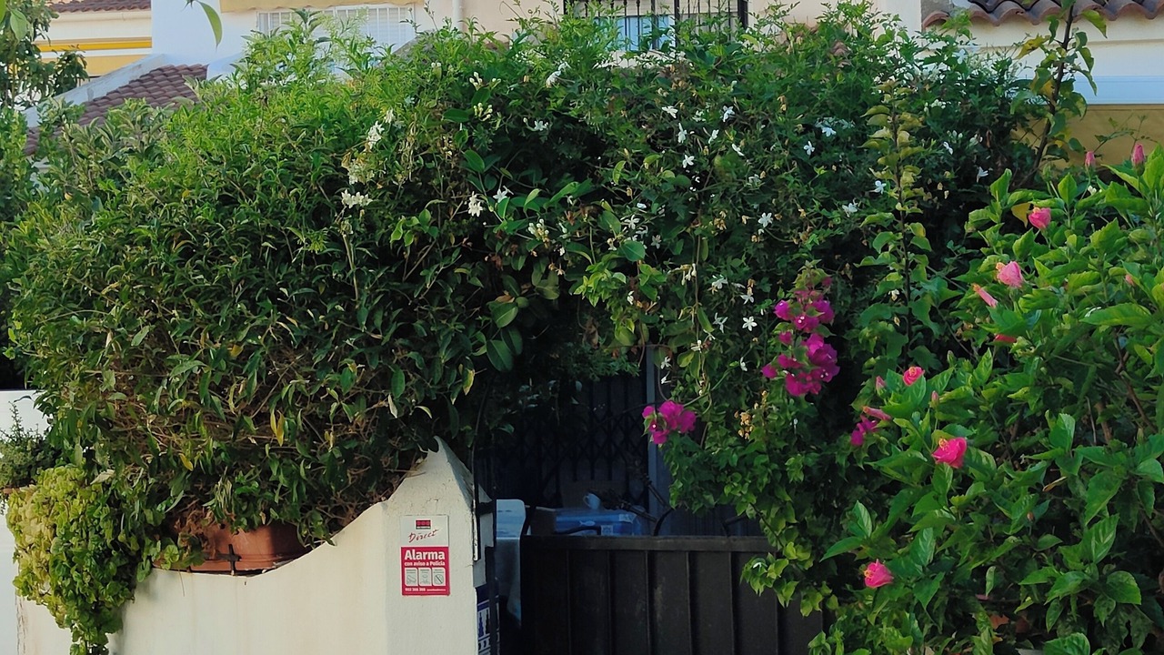 Photo of Outdoor in Velez-Malaga