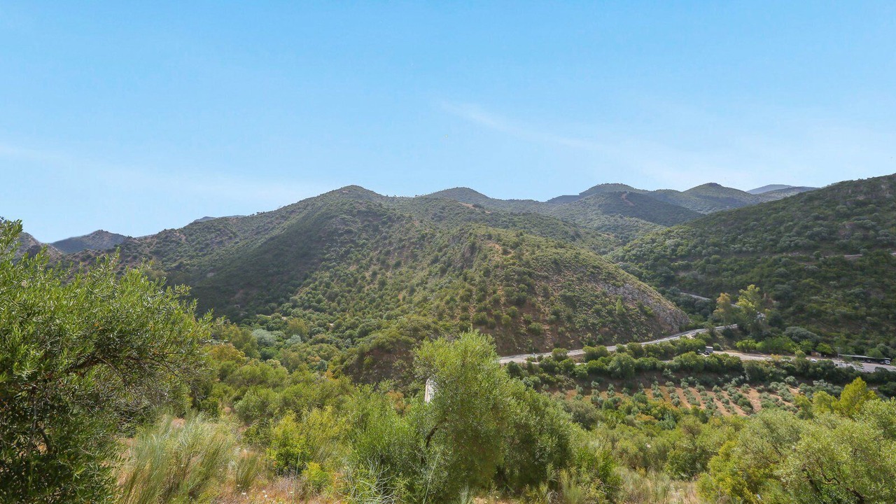 Photo of Outdoor in Coripe