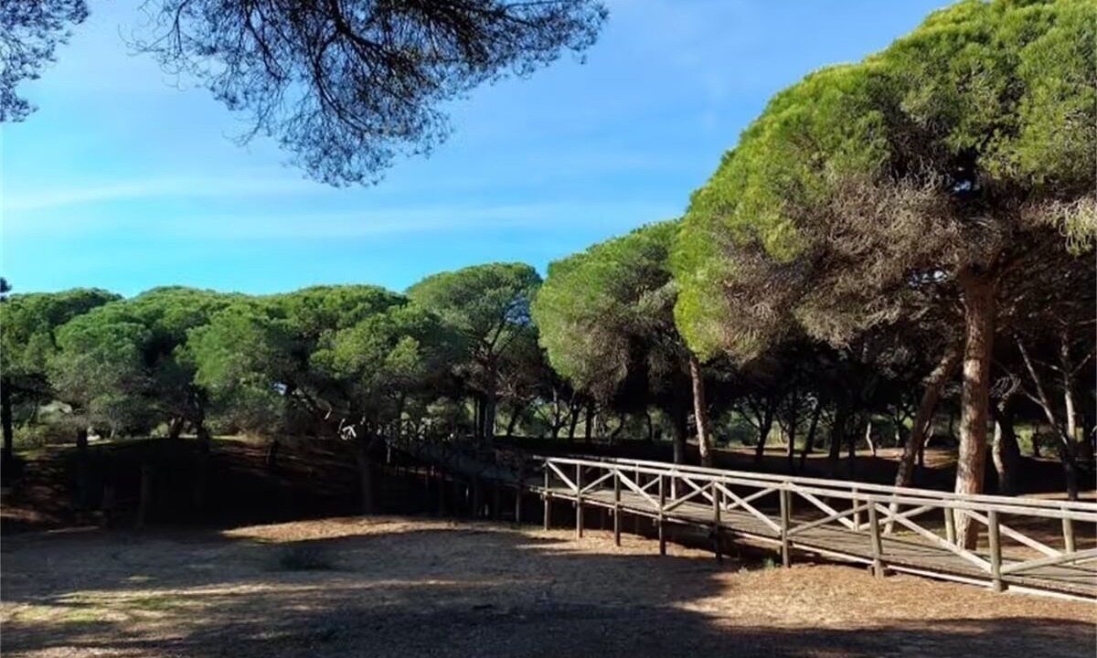 Photo of Outdoor in Rota