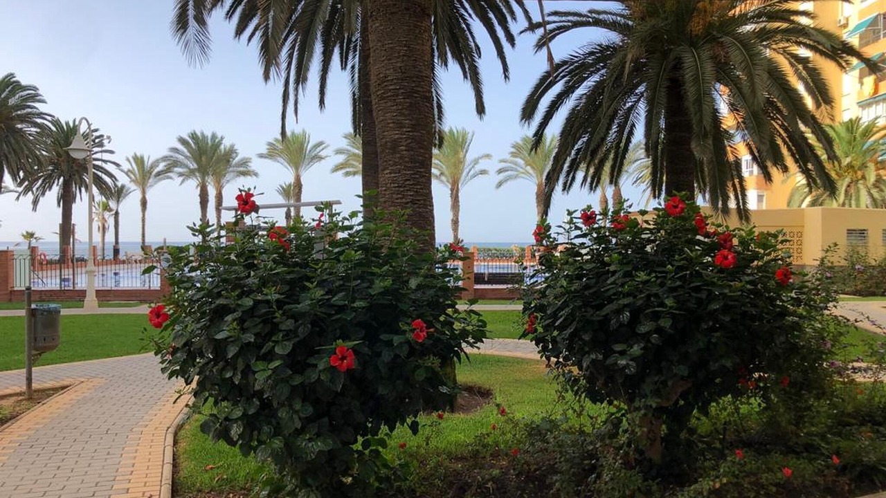 Photo of Outdoor in Algarrobo