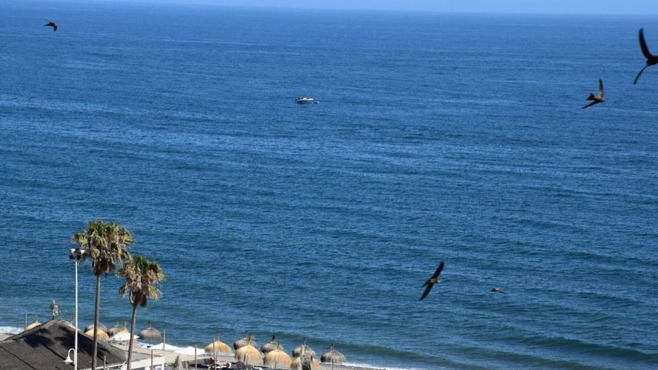 Photo of Others in Algarrobo