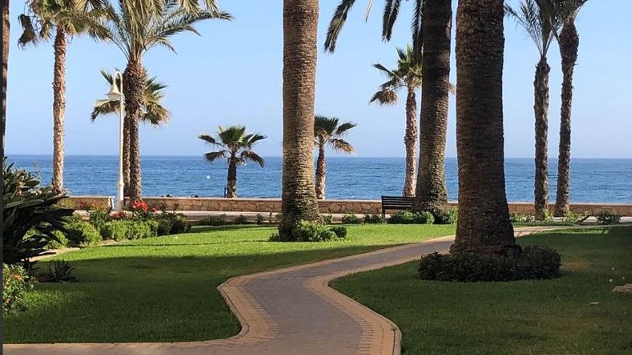 Photo of Outdoor in Algarrobo