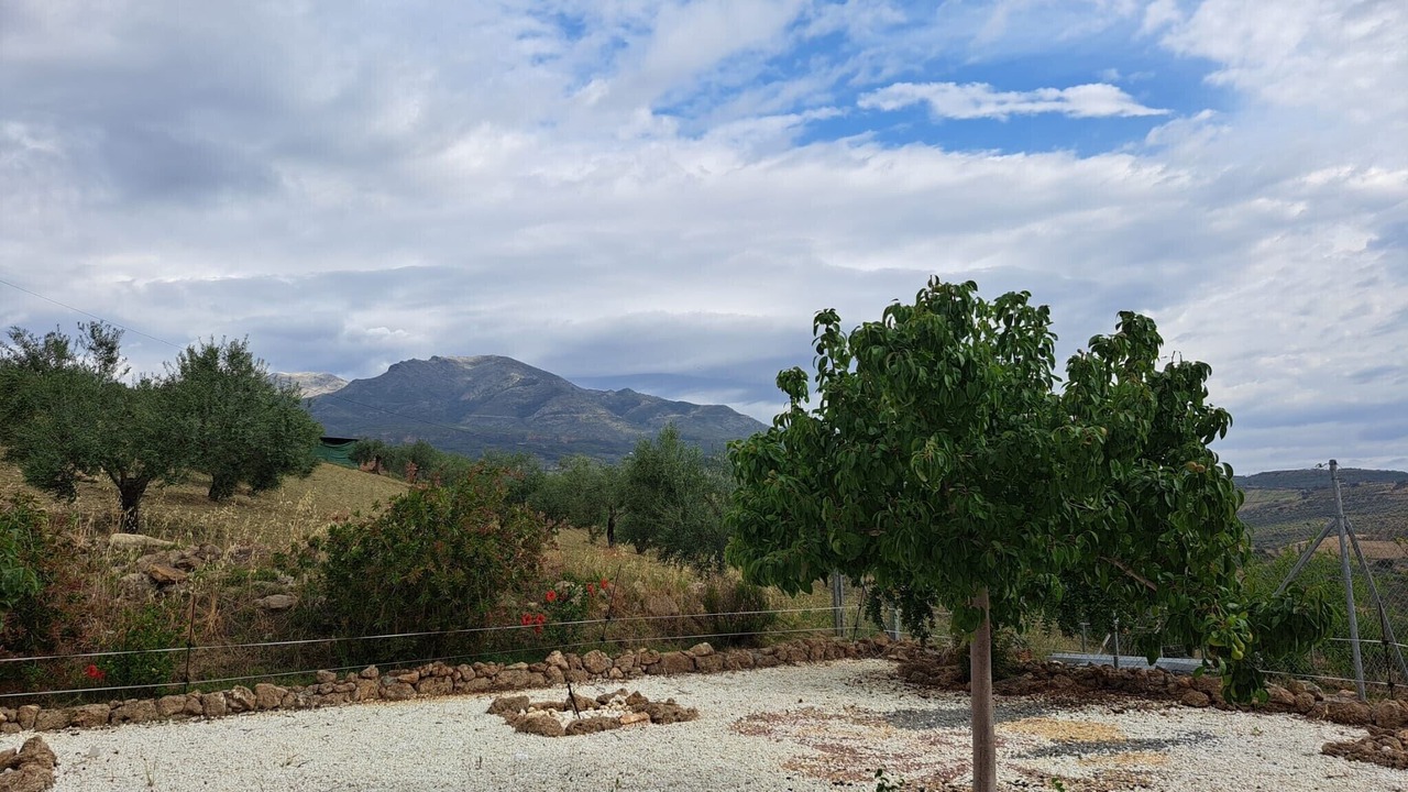 Photo of Others in Alozaina